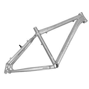 Cadre de VTT (